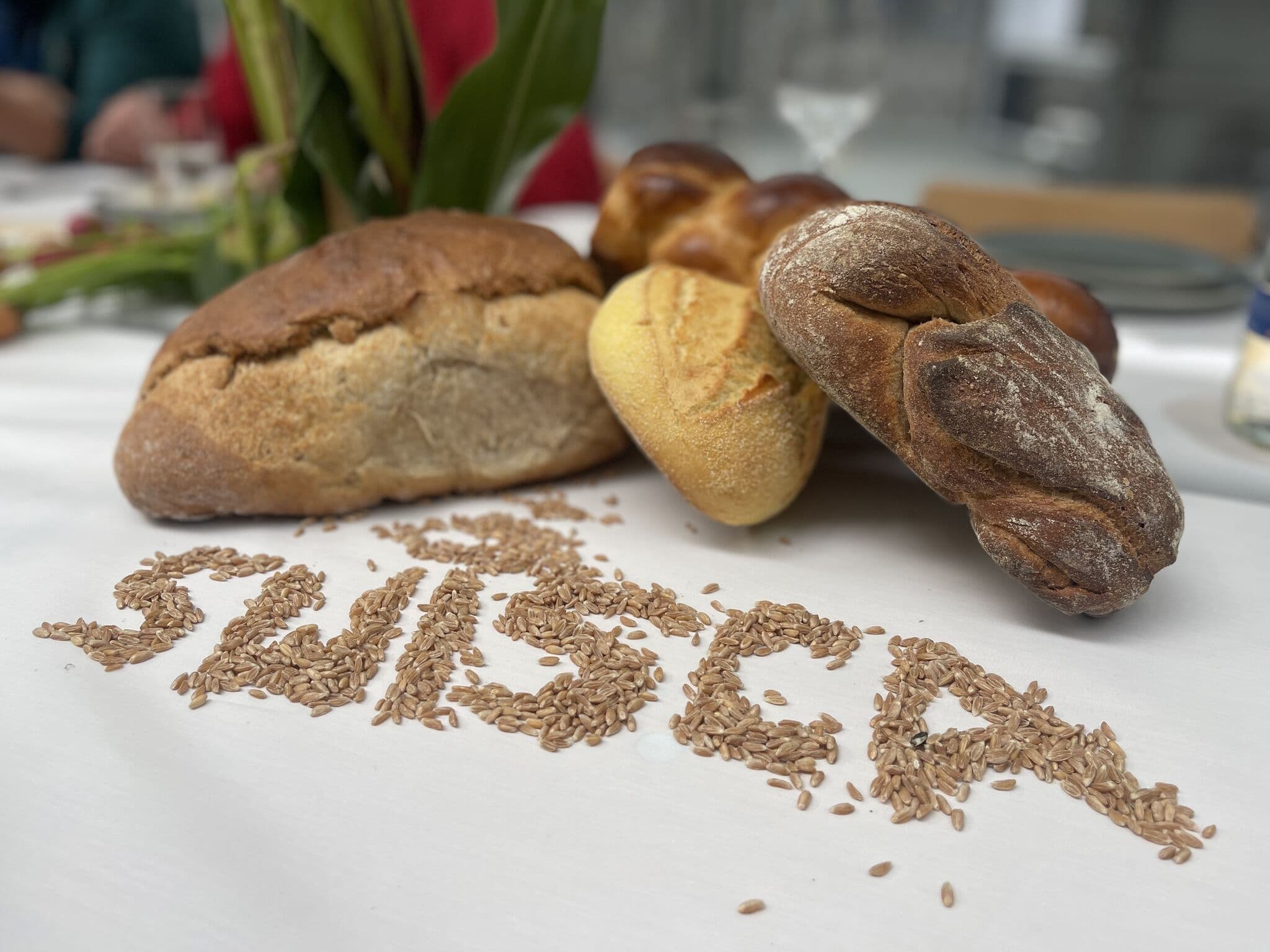 1726153165606_32f7d617bd