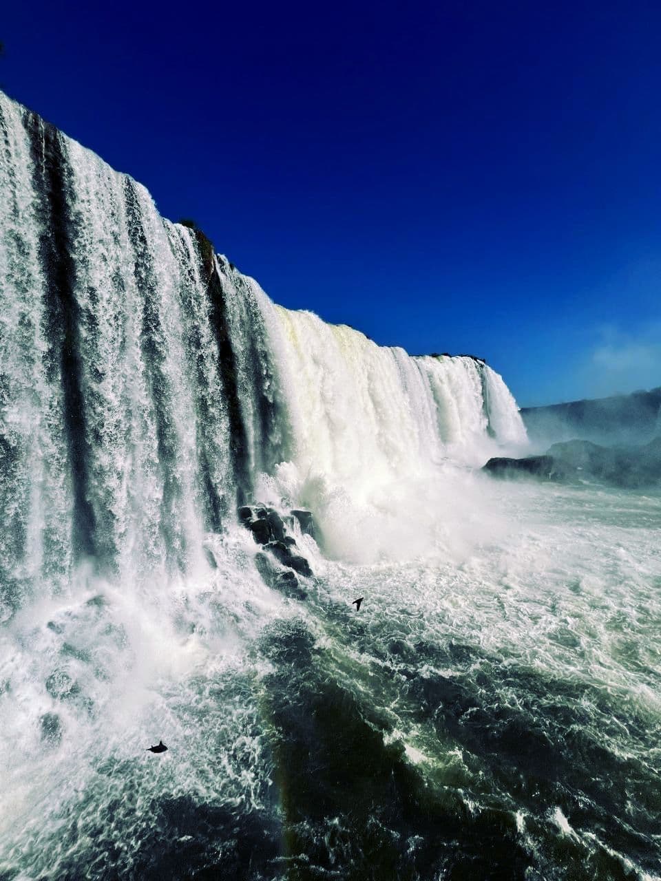 1730368044292_ee786f5435