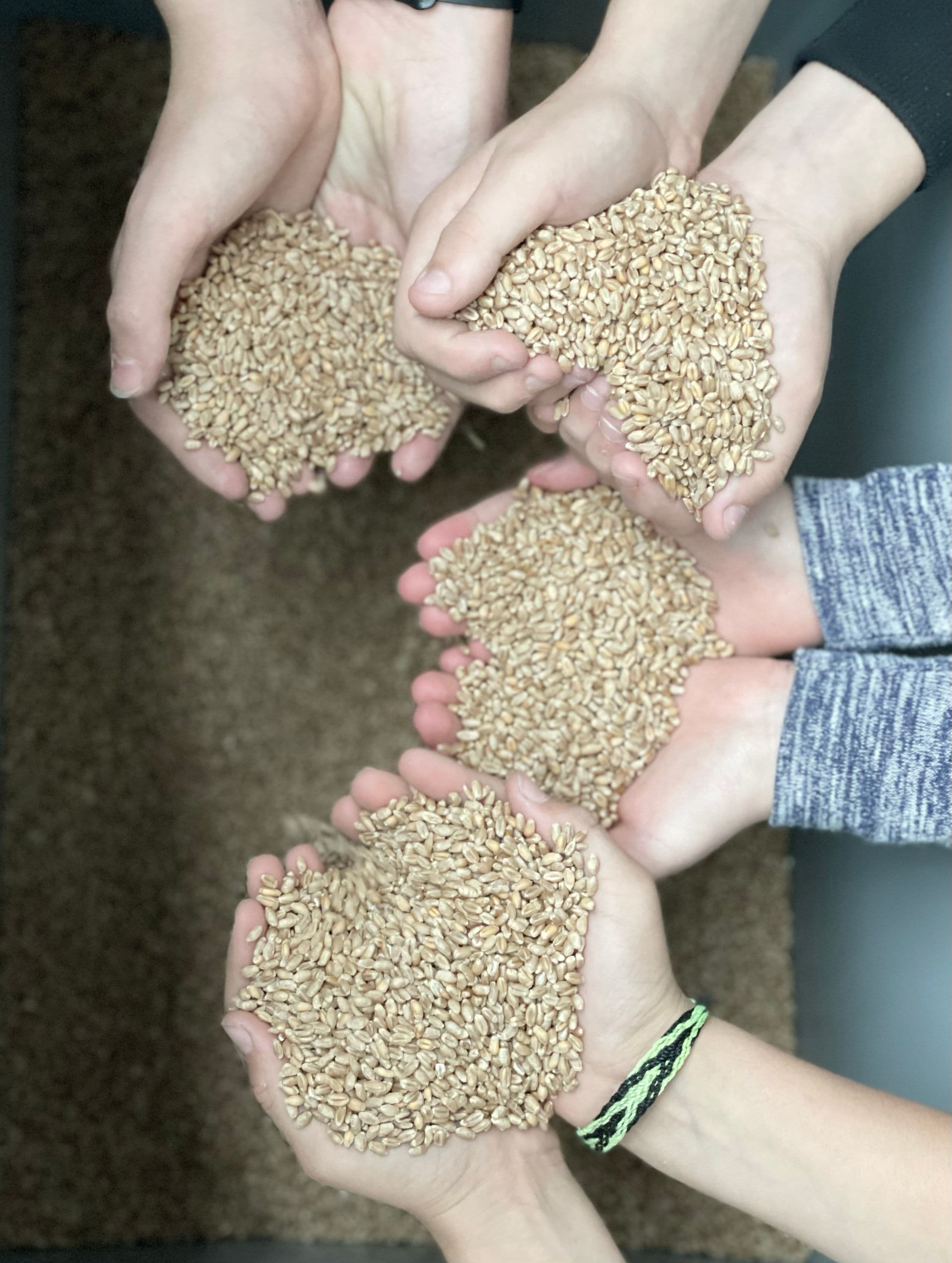 Zukunftstag_2_0bd630611c